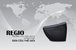 Bồn cầu cảm ứng DV-R115VH-VN/BKG