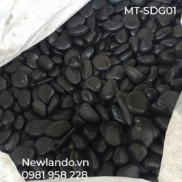 Sỏi đen Granite MT-SDG01