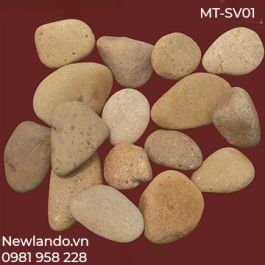 Sỏi vàng tự nhiên MT-SV01