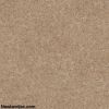 Gach-Prime-lat-nen-KT-500x500mm-MT-01.500500.02617