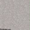 Gach-Prime-lat-nen-KT-500x500mm-MT-13.500500.09341