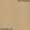 gach-bong-kinh-kt 600x600mm-MT-PTX66210D