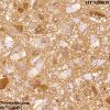 gach-lat-nen-ceramic-mikado-kt 500x500mm MT-MS5028