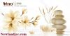 gach-op-tuong-vitto-kt-300x600mm-MT-2503