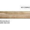 Gạch vân gỗ Italy KT 150x900 mm MT-CP49912