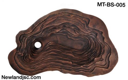 Chau-rua-bang-dong-MT-BS-005
