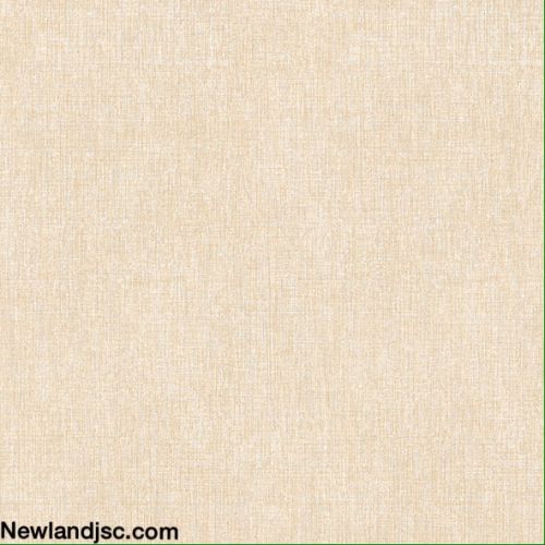 Gach-Prime-lat-nen-KT-500x500mm-MT-01.500500.09486