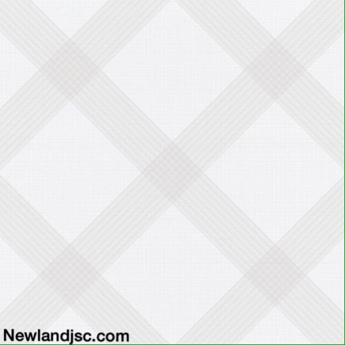 Gach-Prime-lat-nen-KT-500x500mm-MT-14.500500.01200