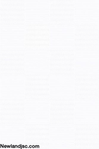 Gach-Prime-op-chan-tuong-KT-300x450mm-MT-14.300450.01584