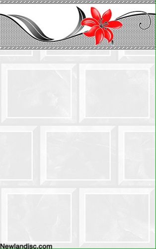 Gach-Prime-op-tuong-KT-250x400mm-MT-05.250400.15121