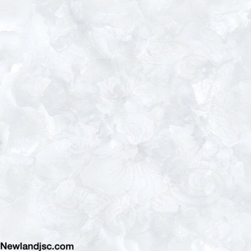 Gach-men-su-KT-600x600mm-MT-03.600600.15623
