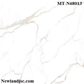 gach-granite-y-my-kt 600x600mm-MT-N68013