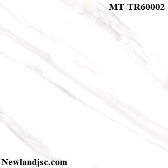 gach-granite-y-my-kt 600x600mm-MT-TR60002