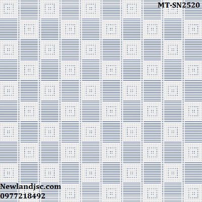 gach-lat-nen-ceramic-mikado-kt 250x250mm-MT-SN2520