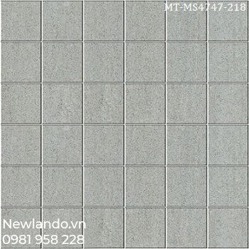 Gạch lát nền Taicera KT 600x600m MT-MS4747-218