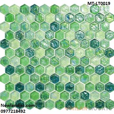 gach-mosaic-luc giac-MT-LT0019