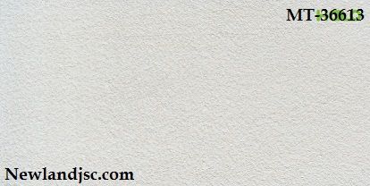 gach-nham-kt 300x600mm-MT-36613