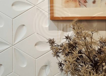 Gạch 3d được sử dụng nhiều trong các thiết kế trang trí phòng khách, showroom, nhà bếp, phòng ngủ, vách cầu thang