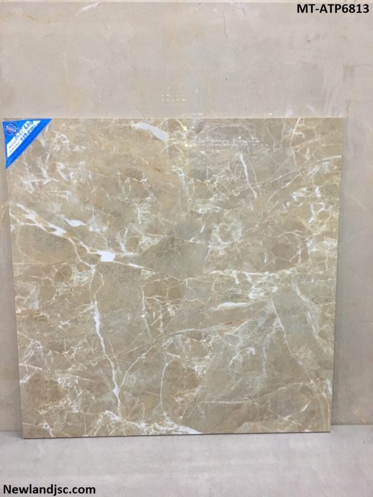 Gach-lat-nen-cao-cap-KT-600x600mm-MT-ATP6813