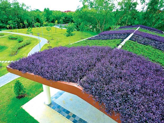 Thiết kế khu vườn trên mây cho ngôi nhà của bạn
