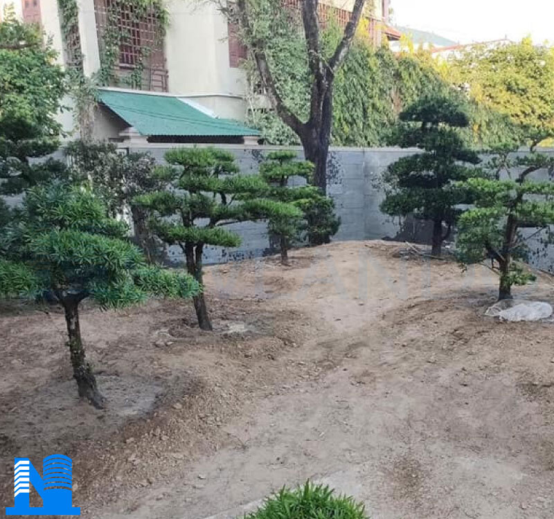 Tổng hợp các mẫu đá ong xám ốp sân vườn đẹp nhất 2020