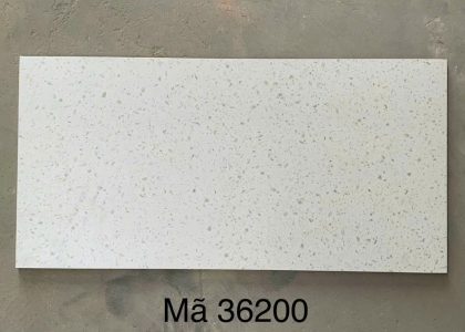 Gạch Terrazzo ốp lát KT 300x600mm MT- GTZ36200