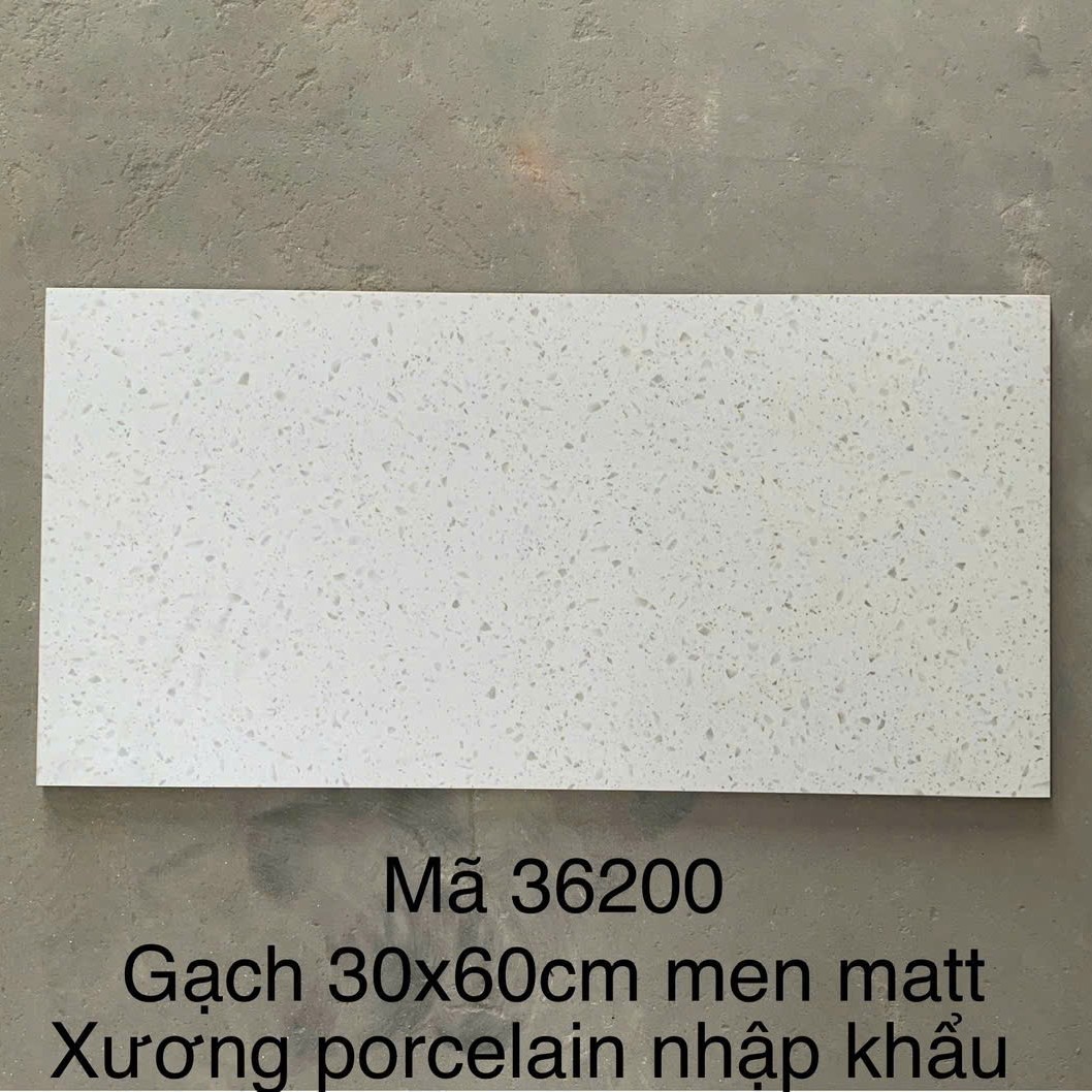 Gạch Terrazzo ốp lát KT 300x600mm MT- GTZ36200