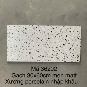 Gạch Terrazzo ốp lát KT 300x600mm MT- GTZ36202