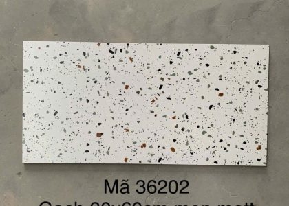 Gạch Terrazzo ốp lát KT 300x600mm MT- GTZ36202