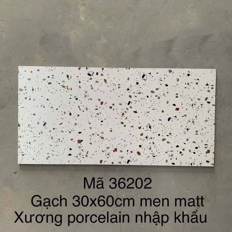 Gạch Terrazzo ốp lát KT 300x600mm MT- GTZ36202