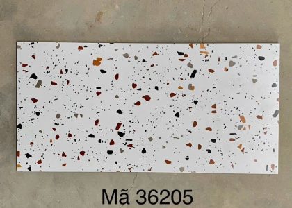 Gạch Terrazzo ốp lát KT 300x600mm MT- GTZ36202