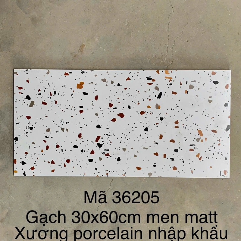 Gạch Terrazzo ốp lát KT 300x600mm MT- GTZ36202