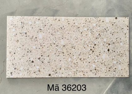 Gạch Terrazzo ốp lát KT 300x600mm MT- GTZ36203