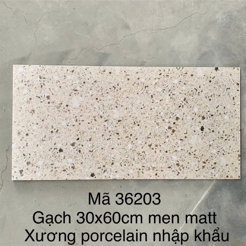 Gạch Terrazzo ốp lát KT 300x600mm MT- GTZ36203