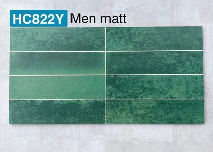 Gạch trang trí định hình 30x60 là dòng gạch Ceramic cao cấp nhập khẩu từ Trung Quốc nổi tiếng