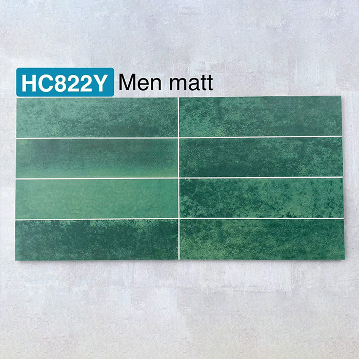 Gạch trang trí định hình 30x60 là dòng gạch Ceramic cao cấp nhập khẩu từ Trung Quốc nổi tiếng