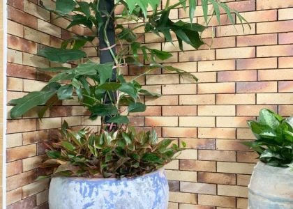 Gạch cổ ốp , lát , lát sân vườn MT-GCSV00001