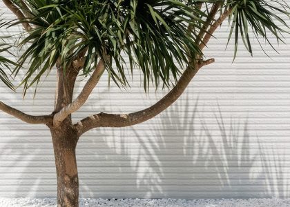 Gạch ốp tường Việt Nhật có bề mặt sắc nét, màu sắc hiện đại, sản phẩm phù hợp với nhiều không gian