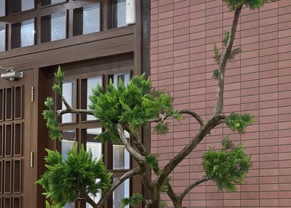 Gạch ốp tường Việt Nhật có bề mặt sắc nét, màu sắc hiện đại, sản phẩm phù hợp với nhiều không gian