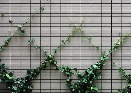 Gạch ốp tường Việt Nhật có bề mặt sắc nét, màu sắc hiện đại, sản phẩm phù hợp với nhiều không gian