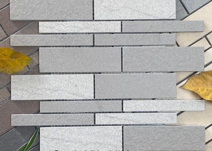 Gạch ốp tường Việt Nhật MT-PPE
