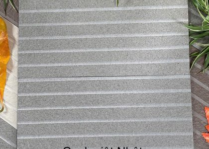 Gạch ốp tường Việt Nhật MT-SKI