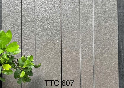 Gạch ốp tường Việt Nhật MT-TTC