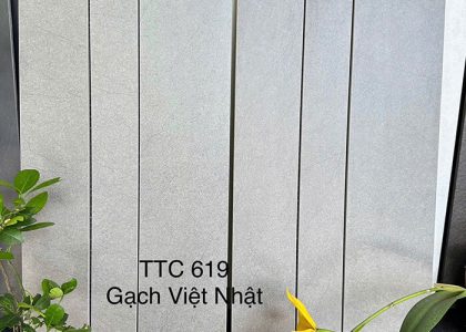 Gạch ốp tường Việt Nhật MT-TTC