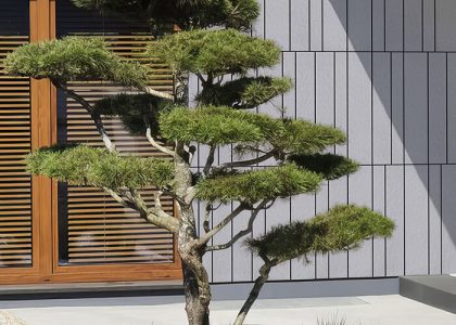Gạch ốp tường Việt Nhật có bề mặt sắc nét, màu sắc hiện đại, sản phẩm phù hợp với nhiều không gian