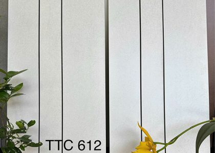 Gạch ốp tường Việt Nhật MT-TTC