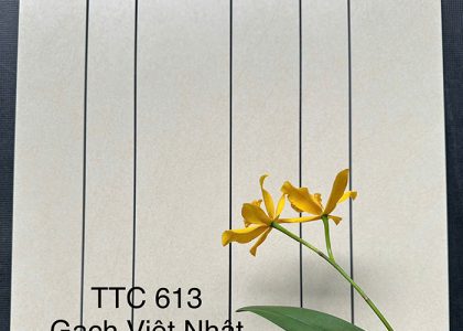 Gạch ốp tường Việt Nhật MT-TTC