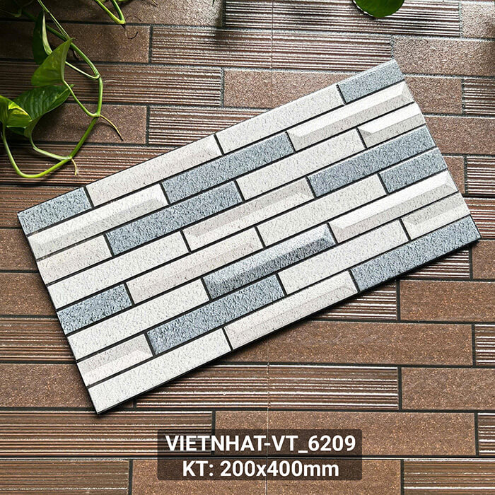 Gạch ốp tường Việt Nhật MT-VT62
