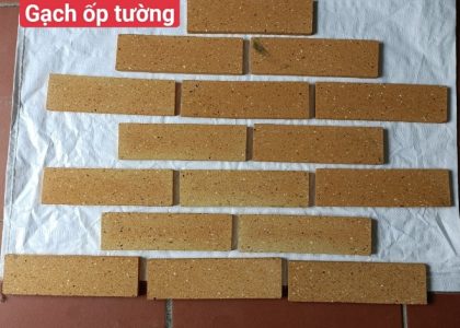 Gạch thẻ cổ (gạch cắt ) kt 230x65x13mm MT-GTC00001