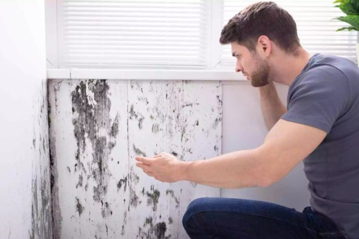 Giải pháp chống thấm tường tiếp giáp nhà hàng xóm triệt để từ trong ra ngoài